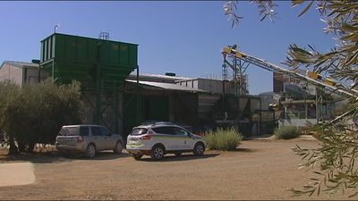 Roban 6.000 litros de aceite en Málaga con un valor cercano a los 50.000 euros