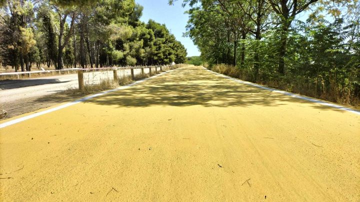 Vía pecuaria Vereda de la Torrecilla, en Getafe / AYTO GETAFE