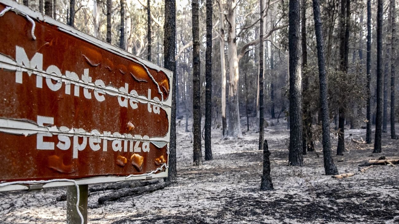 El incendio de Tenerife podría darse por estabilizado este jueves