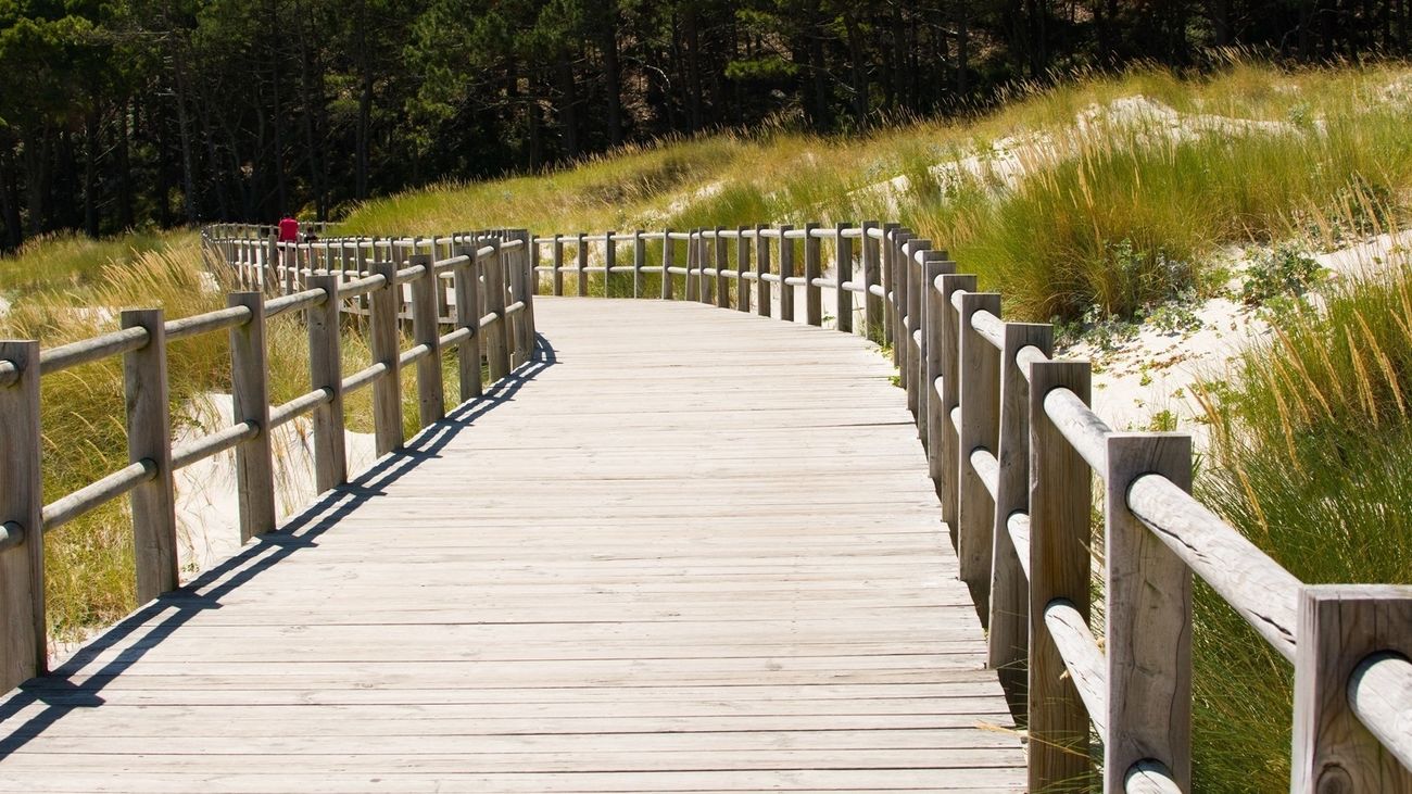Cuatro heridos tras caer un árbol sobre una tienda en el camping de las islas Cíes