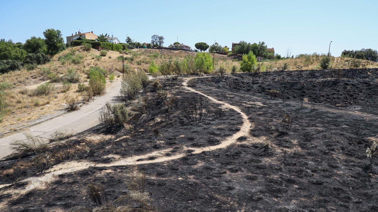 Terreno quemado en Parque Coimbra, Móstoles