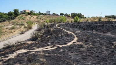 Móstoles prepara un nuevo plan para prevenir incendios en Parque Coimbra-Guadarrama