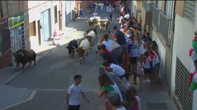 Sanse y sus peñas ya están preparados para sus fiestas