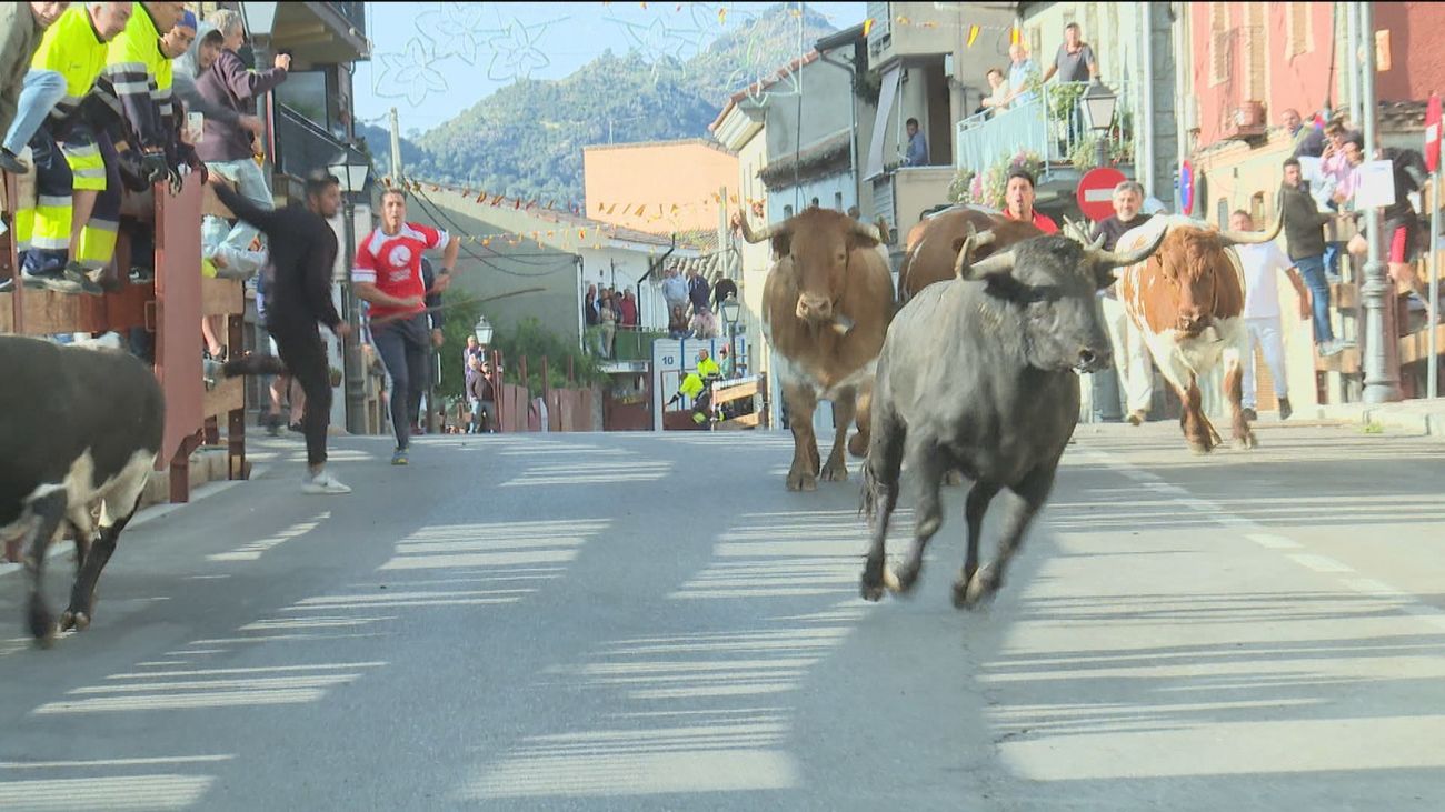 Encierro y huevos fritos en las fiestas de Robledo de Chavela