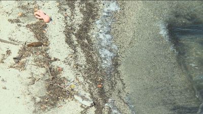 Las localidades afectadas por el mal olor y sabor del agua recibirán el suministro desde El Atazar