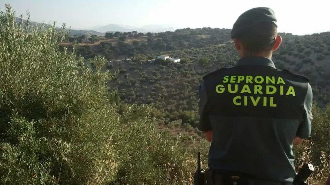 Acusan de maltrato animal al dueño de dos perros que arrojó a una poza en Valdetorres