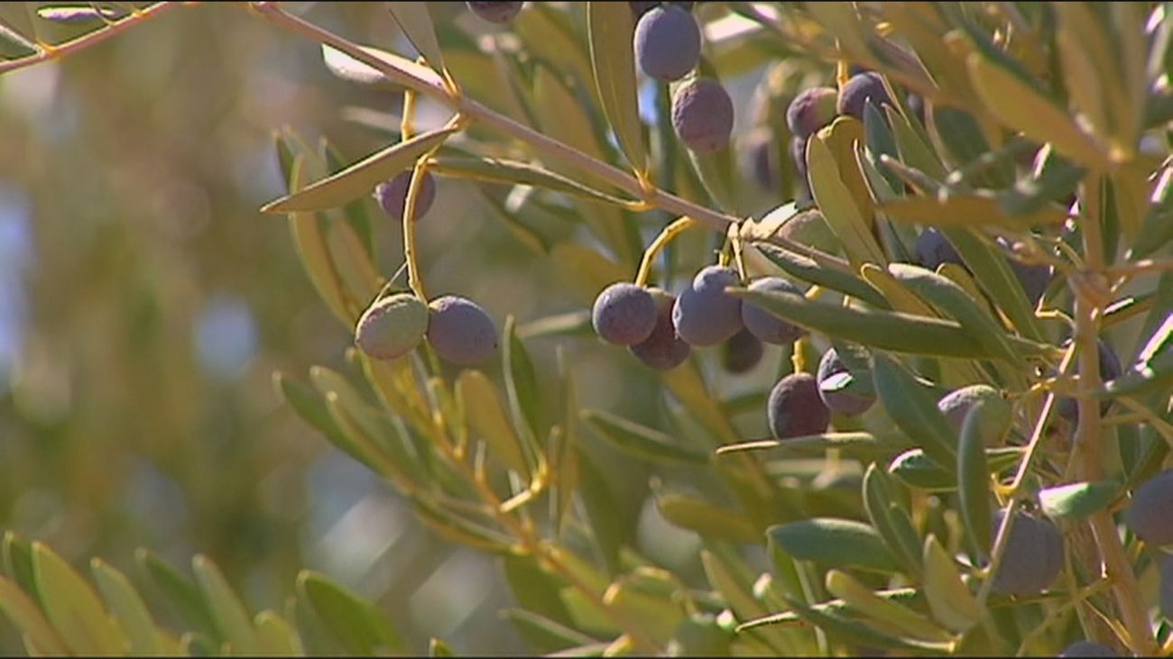Andalucía anhela las lluvias que evitarían nuevas restricciones
