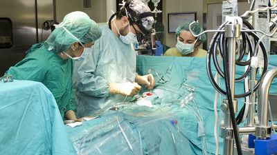 España, líder en trasplante de órganos de la UE