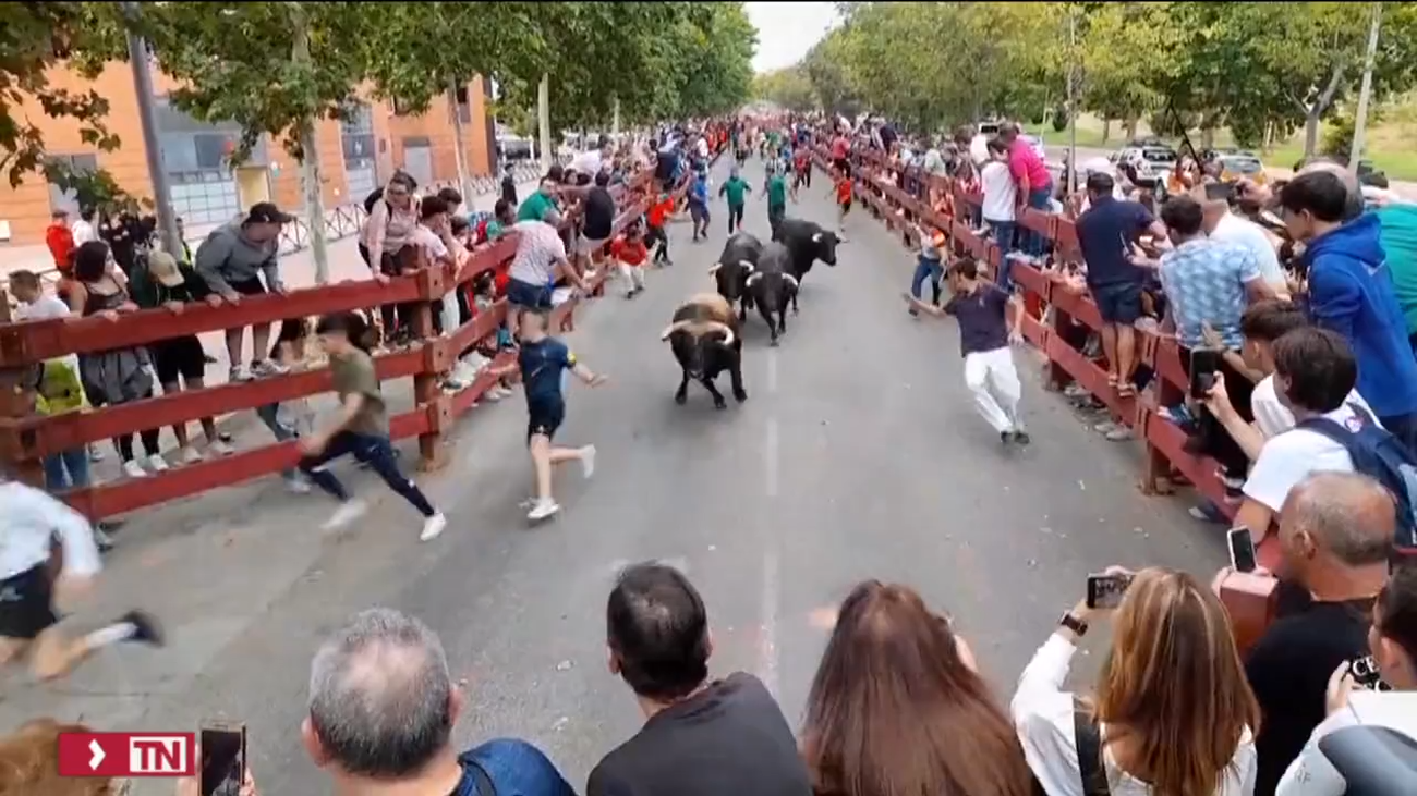 El segundo encierro de Alcalá de Henares, rápido y sin incidentes