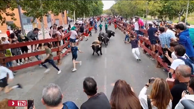 El segundo encierro de Alcalá de Henares, rápido y sin incidentes