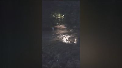 La noche en la que el agua lo inundó todo