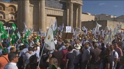 Miles de agricultores y ganaderos reclaman ayudas a la UE