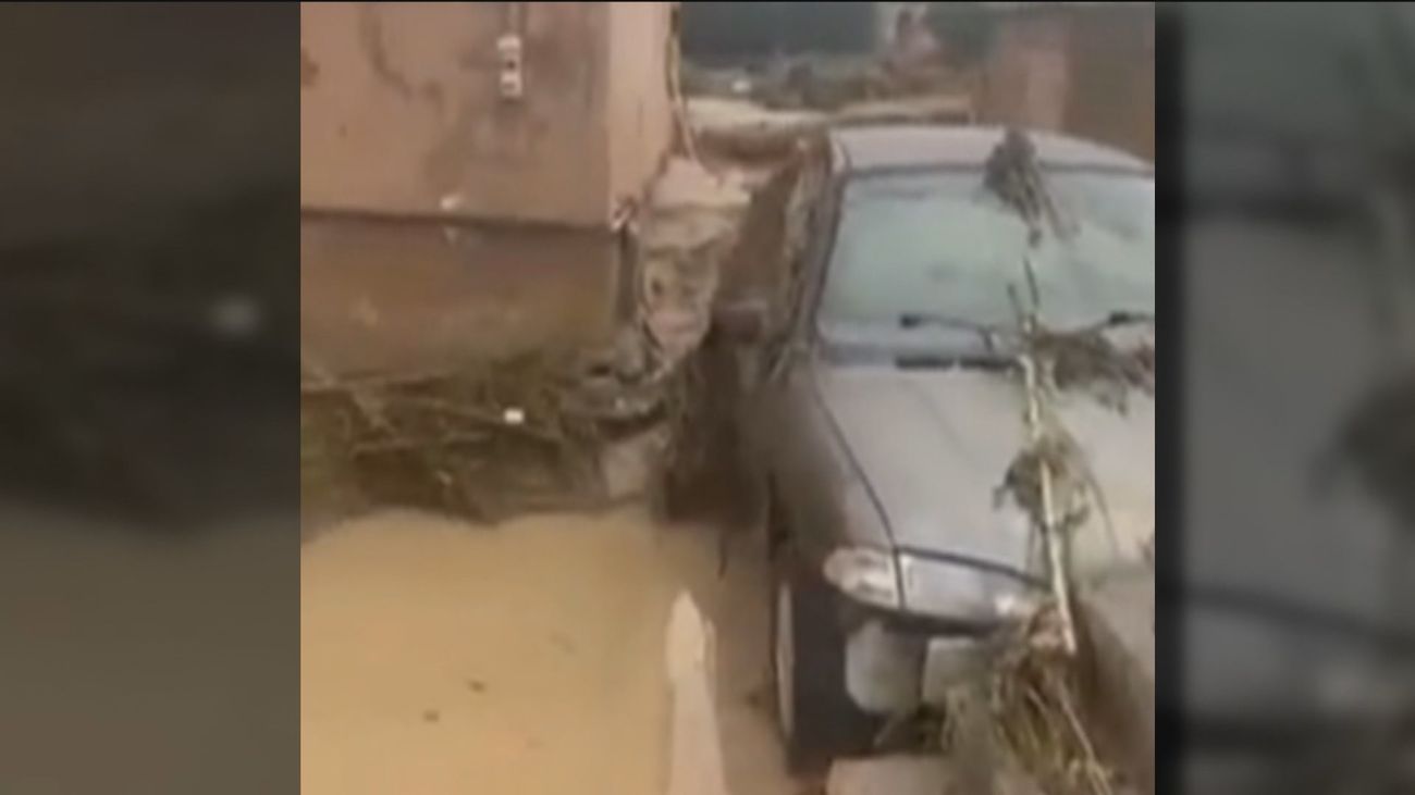 El drama de un agricultor de Navalcarnero tras perder su cosecha y ver morir a sus animales
