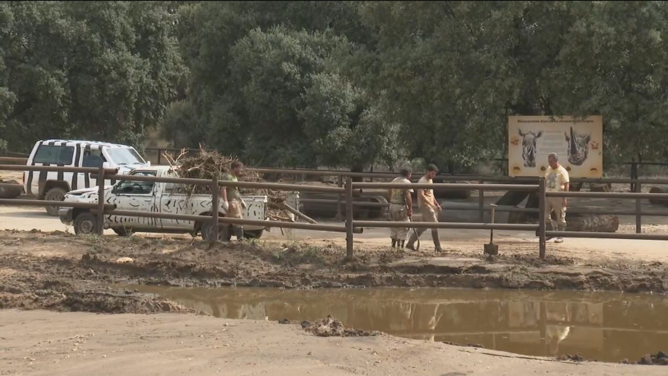 Safari Madrid, afectado por la Dana
