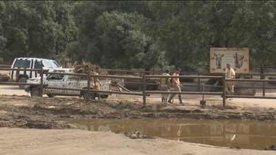 Safari Madrid, afectado por la Dana