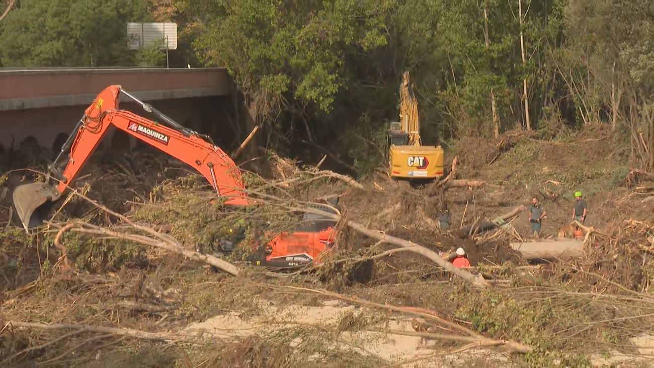 Se reanuda la búsqueda de los desaparecidos en Aldea del Fresno y Villamanta, con maquinaria pesada