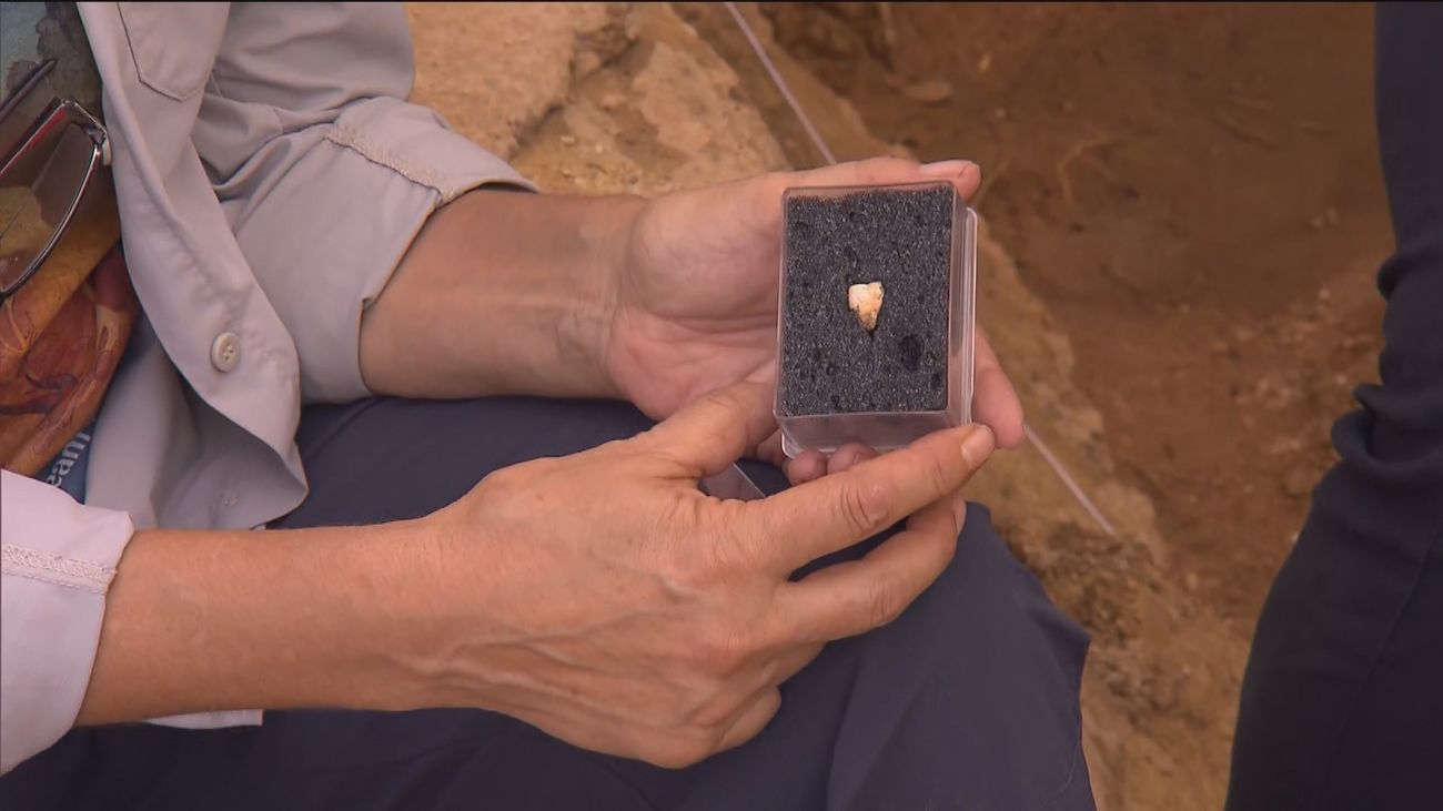 Hallado el diente del primer madrileño de la historia en Pinilla del Valle