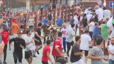 Pozuelo despide sus fiestas con sus tradicionales encierros