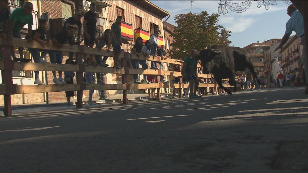 Morata despide sus fiestas con un encierro rápido y limpio