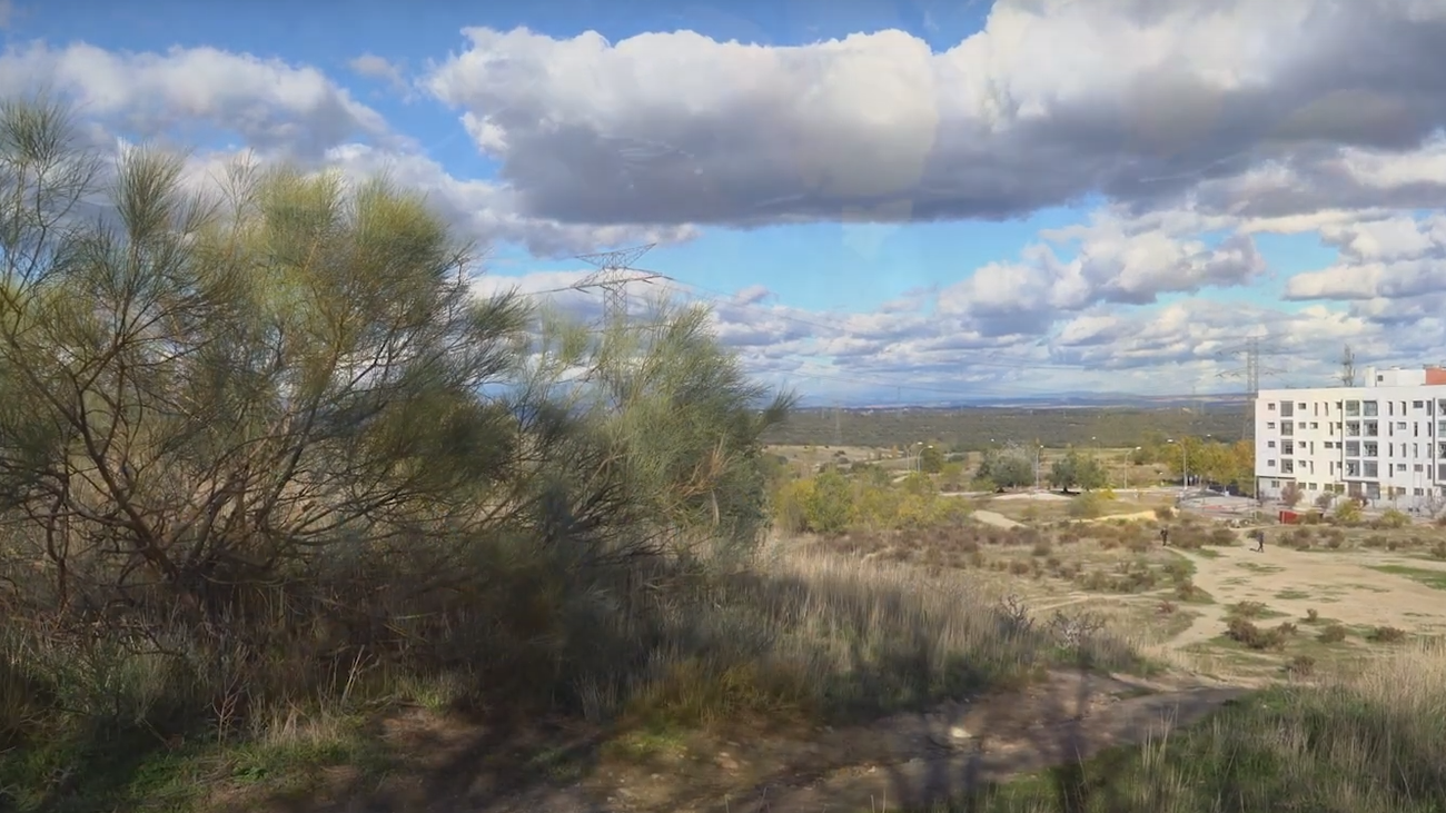 Buscar tesoros en Alcobendas para conocer su nuevo parque forestal