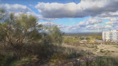 Buscar tesoros en Alcobendas para conocer su nuevo parque forestal