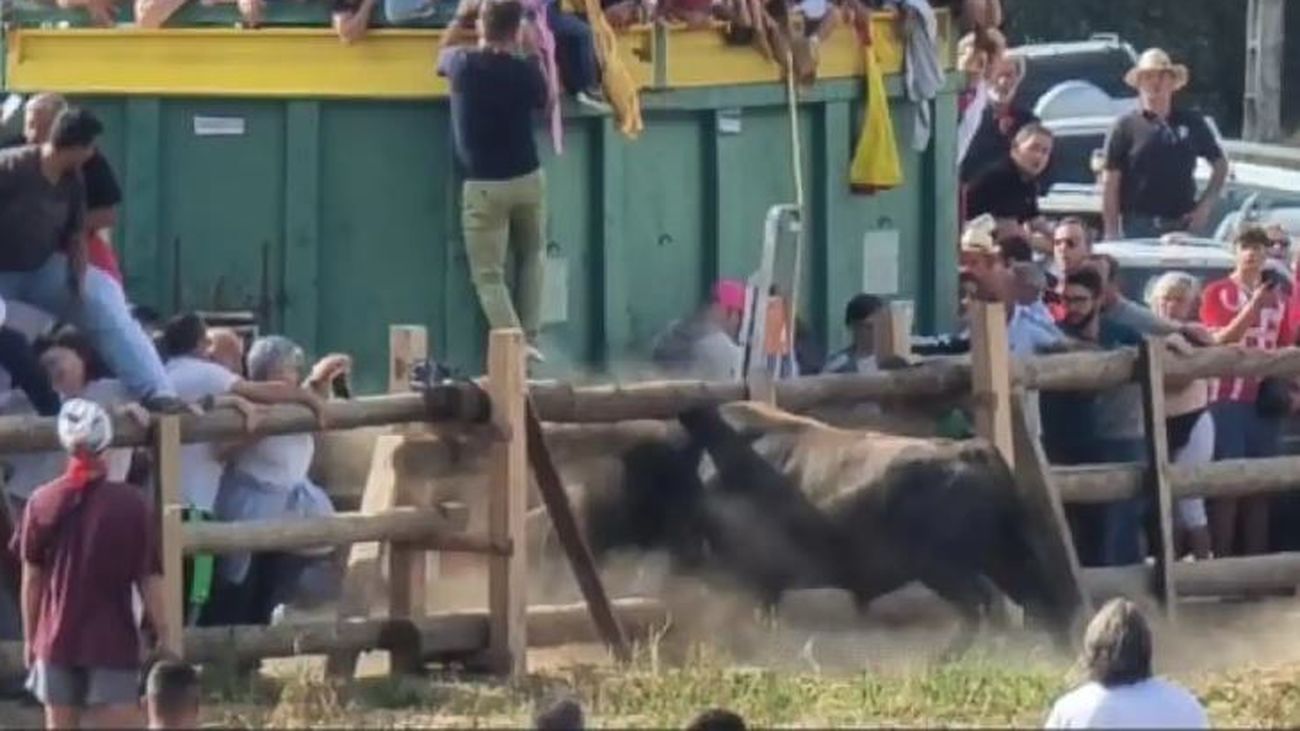 El Toro de la Vega escapa del recorrido y hiere de gravedad a un hombre