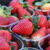Madrid no registra ningún incidente con la partida de fresas intoxicada aunque está "en alerta"