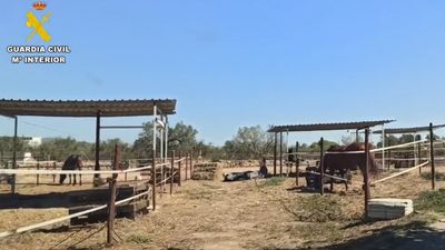 Dos detenidos por explotar a un inmigrante en un centro hípico de Tarragona