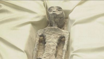 México exhibe las 'momias de Nazca' como supuestos seres no humanos