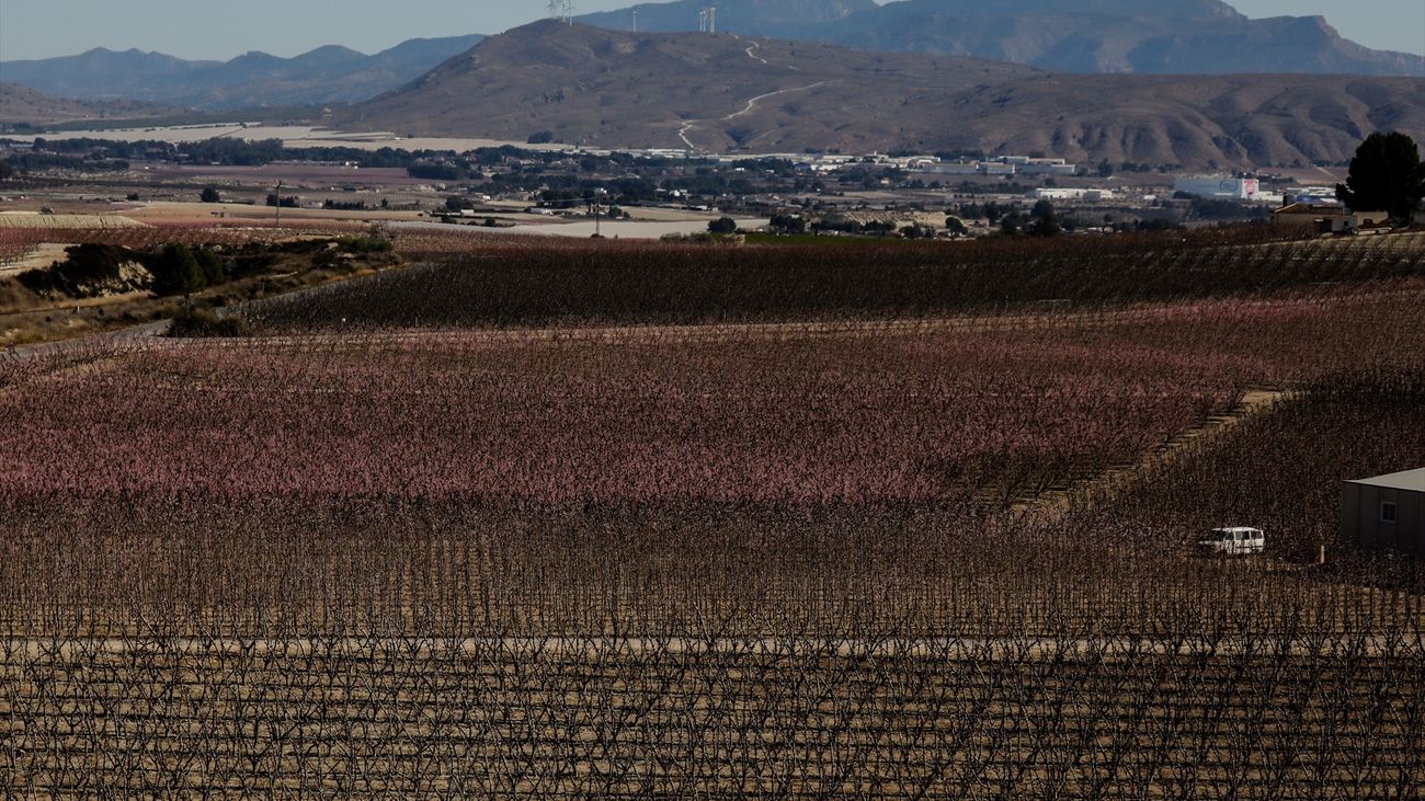 Hallan en un pozo el cuerpo sin vida de la mujer desaparecida en Cieza