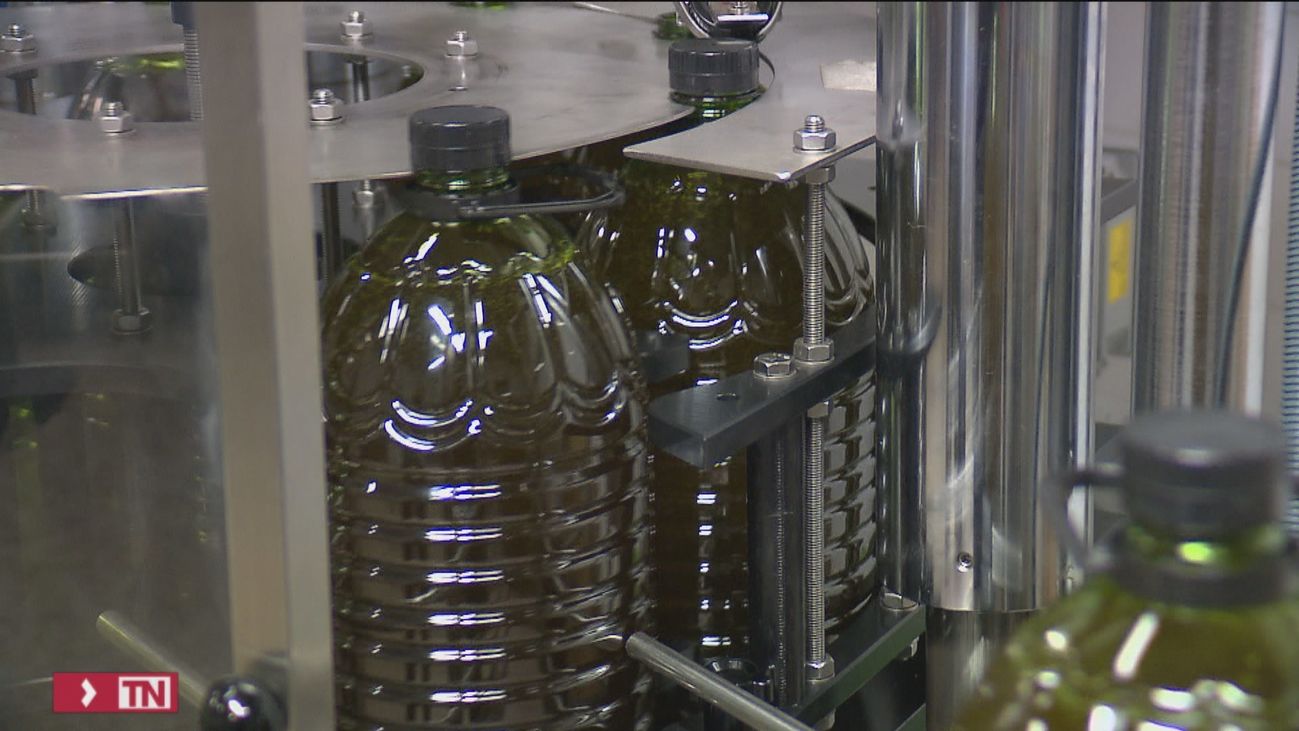 Juicio a la trama que adulteraba aceite de oliva virgen extra