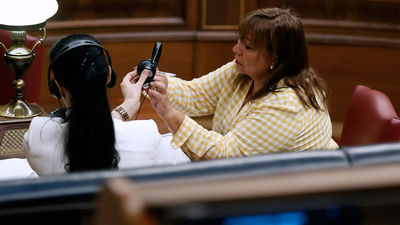 El Congreso "avala" el uso de las lenguas cooficiales antes de su aprobación oficial