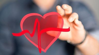 Investigadores españoles desarrollan un modelo para predecir la insuficiencia cardiaca