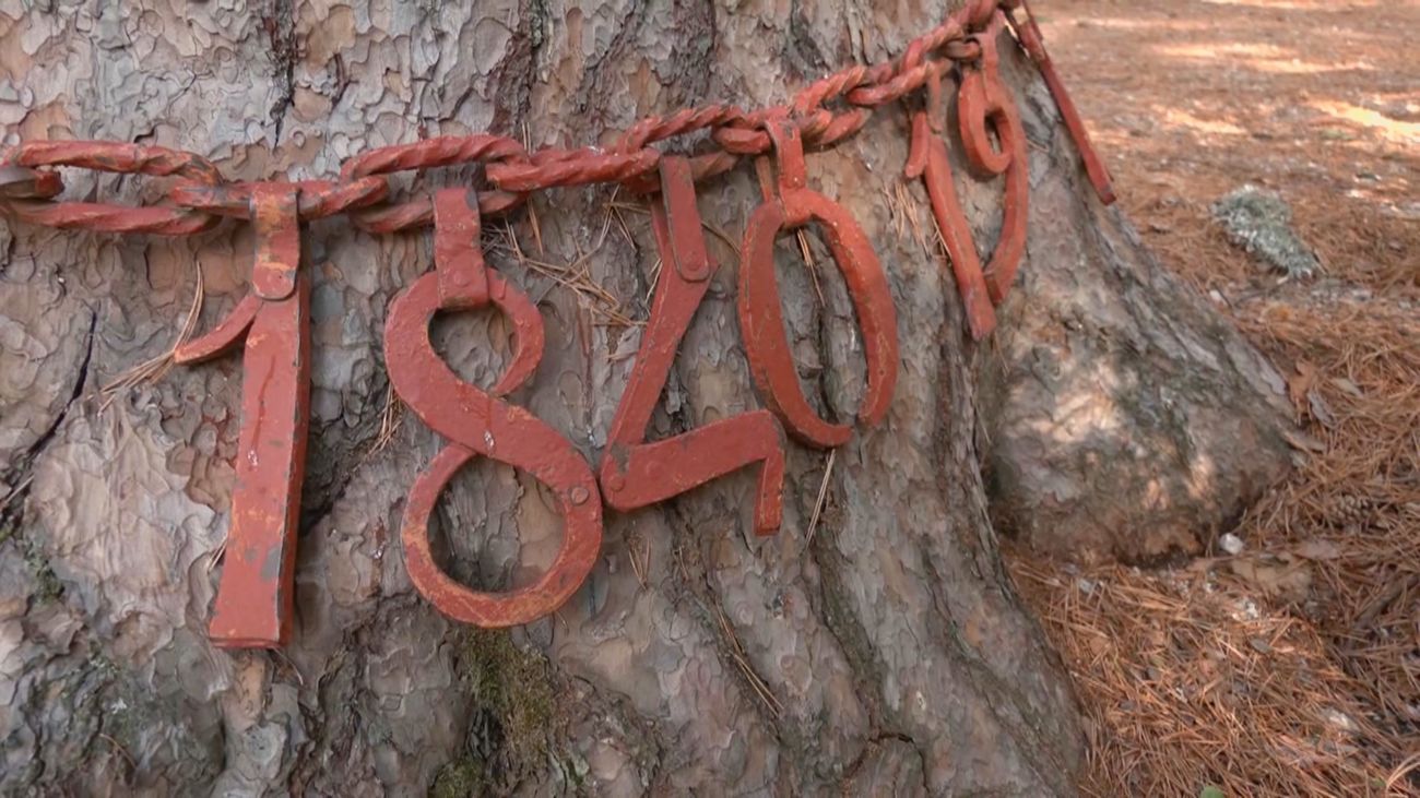 La historia de amor que esconde la ruta del Pino de la Cadena