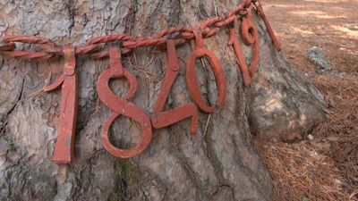 La historia de amor que esconde la ruta del Pino de la Cadena