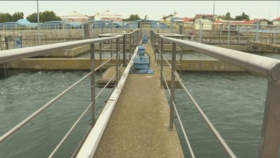 ¿Qué es la M-40 del agua?