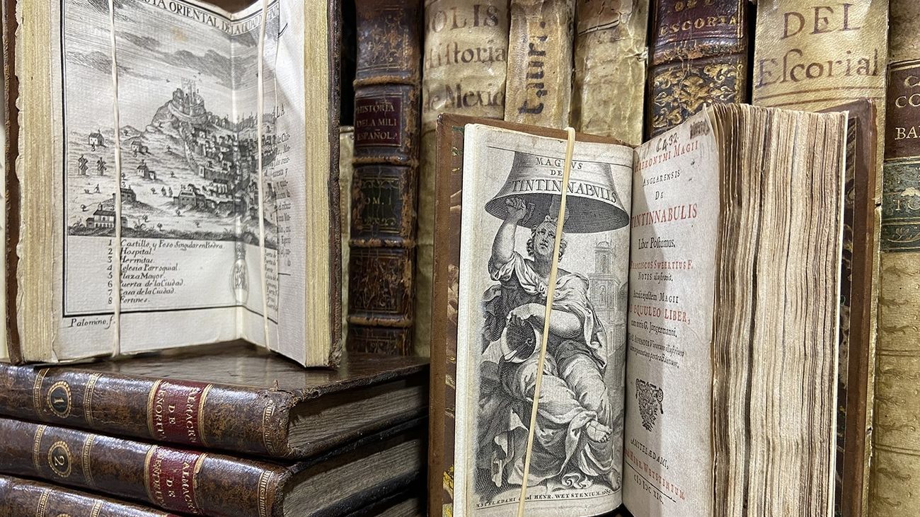 Ejemplares de la Feria de Otoño del Libro Viejo y Antiguo de Madrid