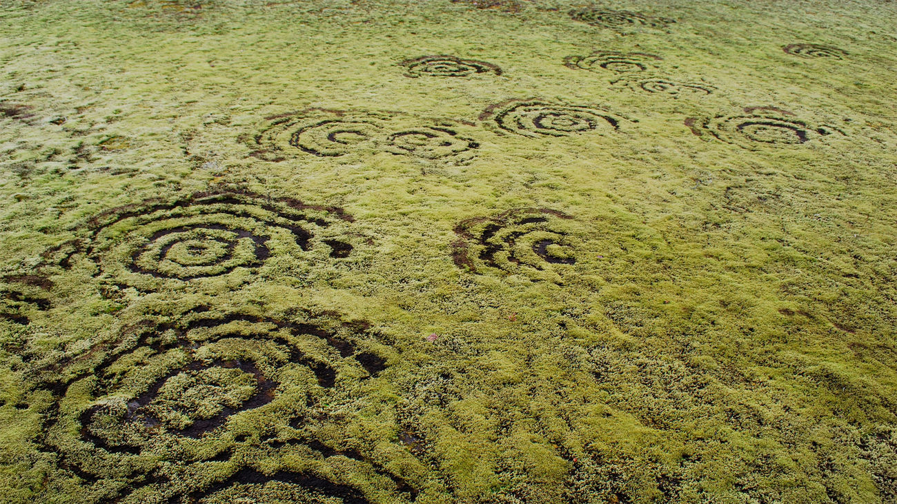 Círculos de hadas en Islandia