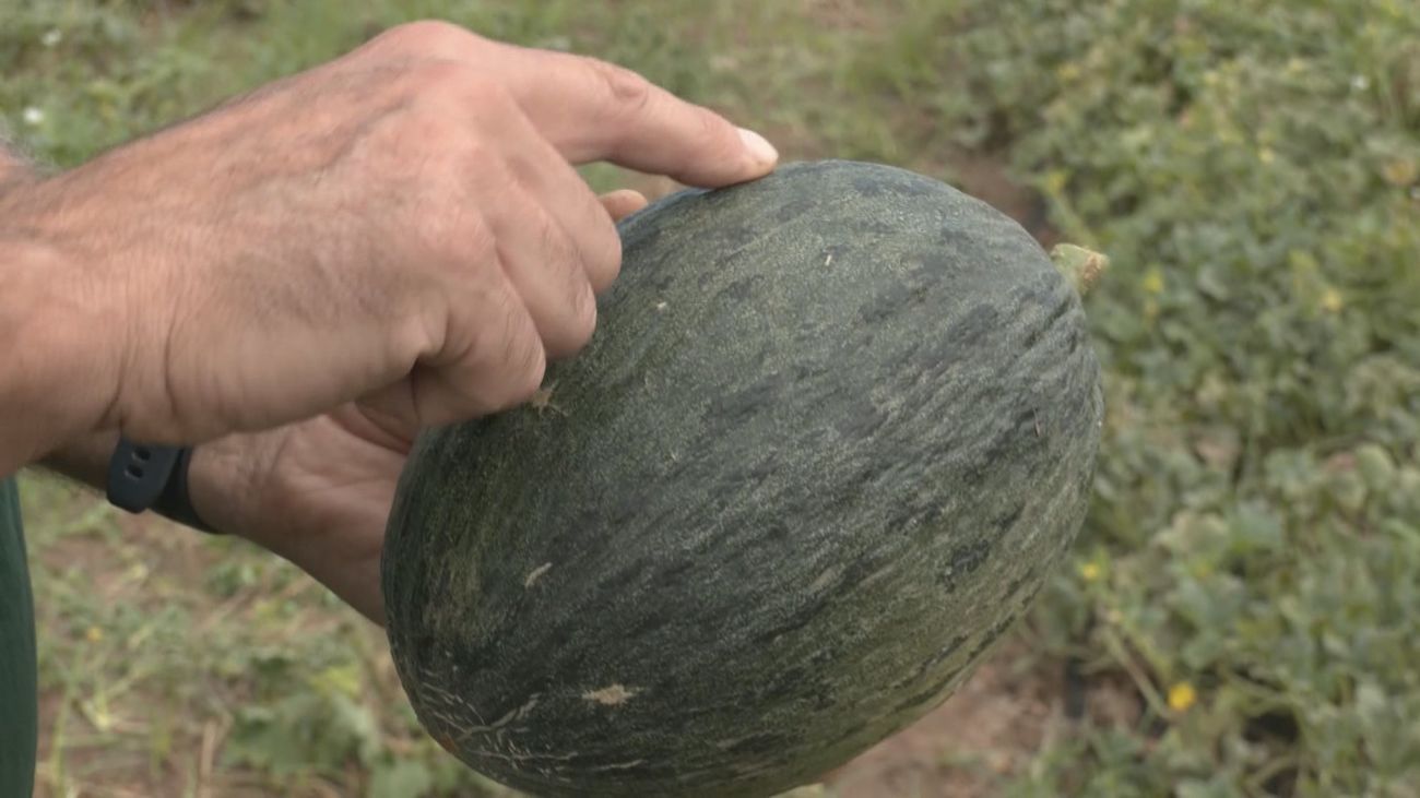 Melón azul: una joya culinaria madrileña que estuvo a punto de desaparecer