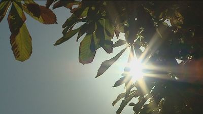 Miércoles con sol en Madrid y temperaturas que suben un poco