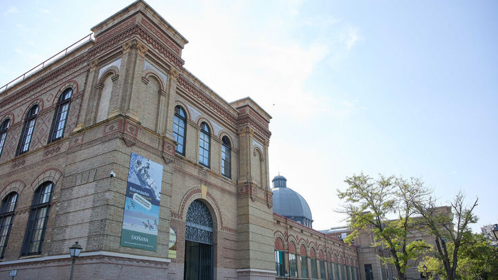 Museo de Ciencias Naturales / Europa Press