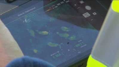 Los ganaderos podrán contar con drones con cámaras térmicas para localizar animales enfermos