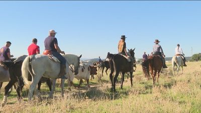 Si vas a La Pedriza este fin de semana, atento porque cambia el horario de acceso