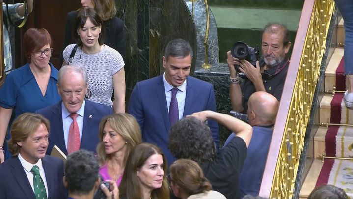Pedro Sánchez este viernes / TELEMADRID