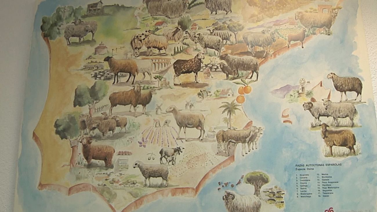 Madrid mejora tu vida 01.10.2023