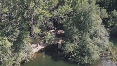 Un bosque finlandés de cuento de hadas en Rascafría
