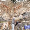 Sea 162, el artista que utiliza pigmentos naturales para crear sorprendentes obras de arte en plena sierra madrileña