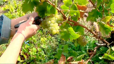 Madrid mejora tu vida 08.10.2023