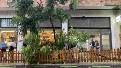 Aline se salda con 150 intervenciones de los bomberos de la Comunidad de Madrid