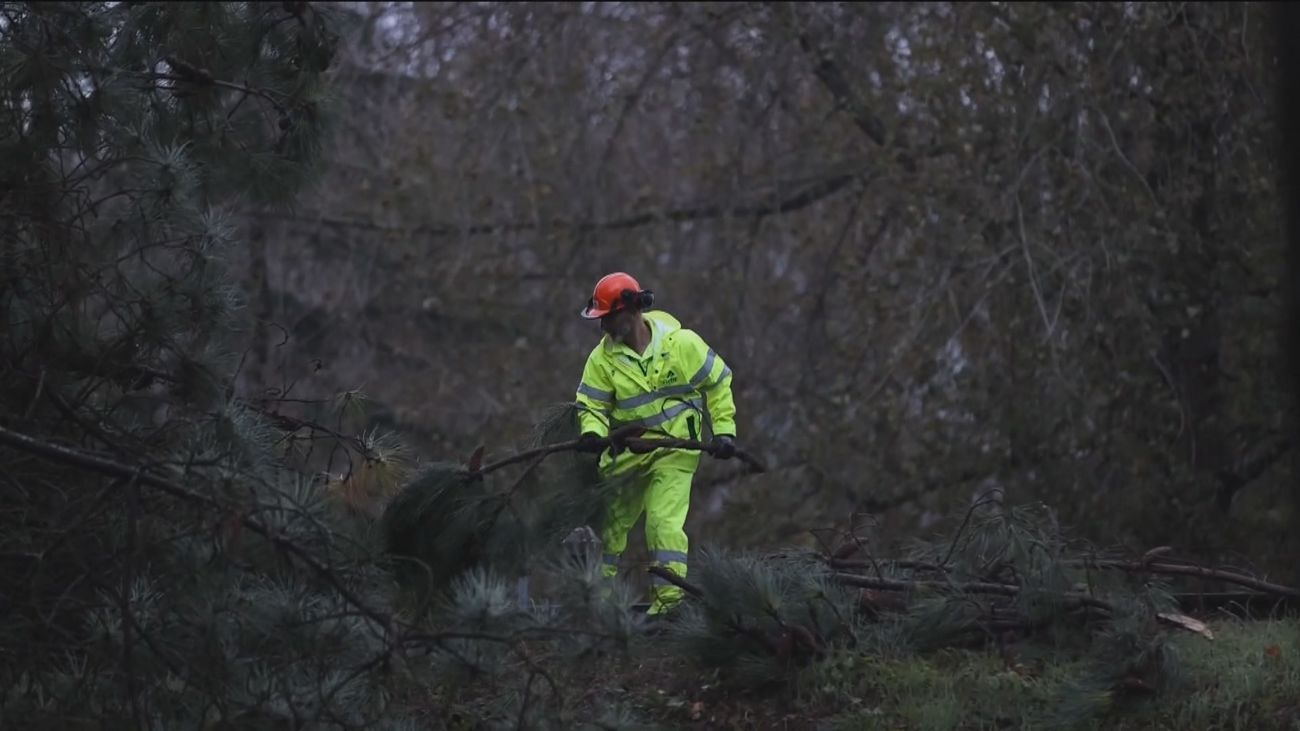 'Aline' deja a su paso por España miles de incidencias y daños millonarios
